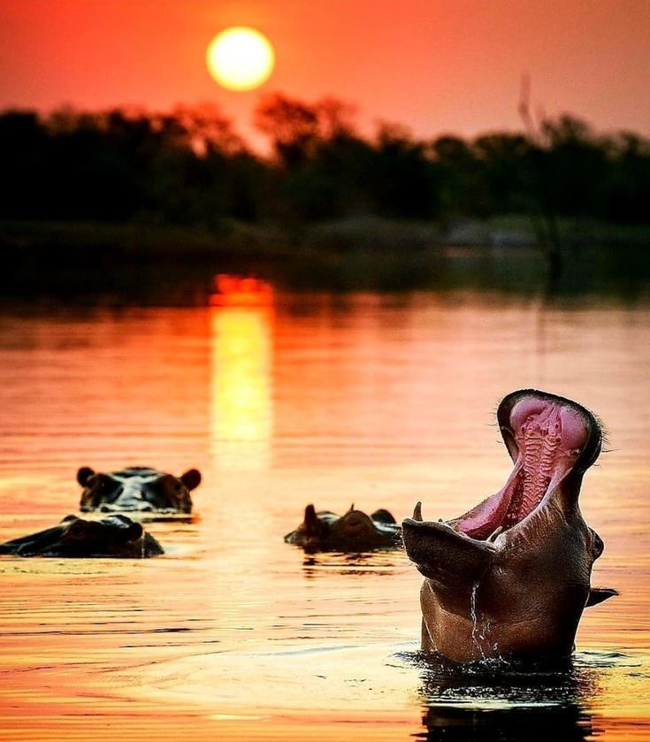 car-rental-in-lake-kariba